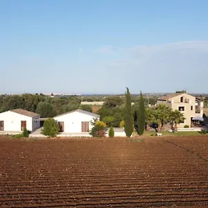 Orecchie Di Lepre Syracuse
